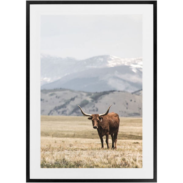 Pastured Longhorn Art Print