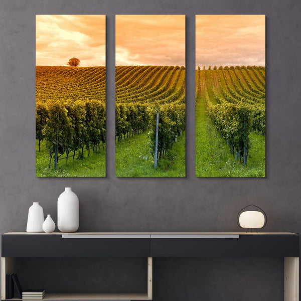 3 piece Vineyard Sunset wall art