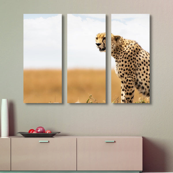 3 piece Cheetah wall art