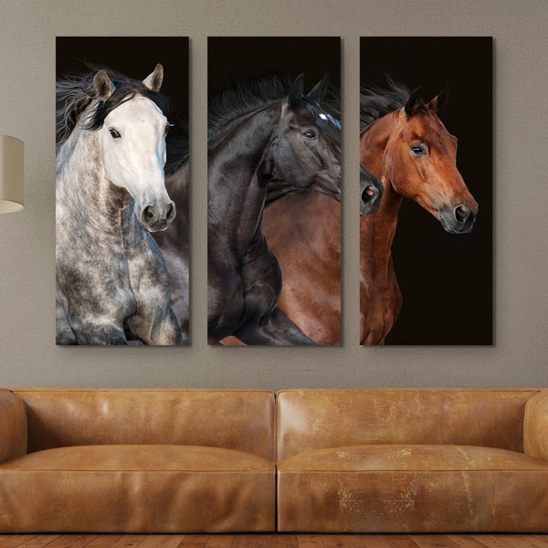 3 piece Horses wall art