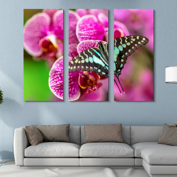 3 piece Beautiful Butterfly wall art