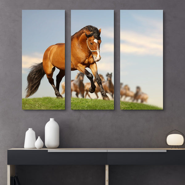 3 piece Stallion with the Herd wall art