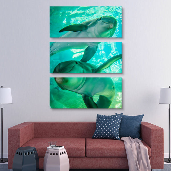 3 piece Posing Dolphins wall art