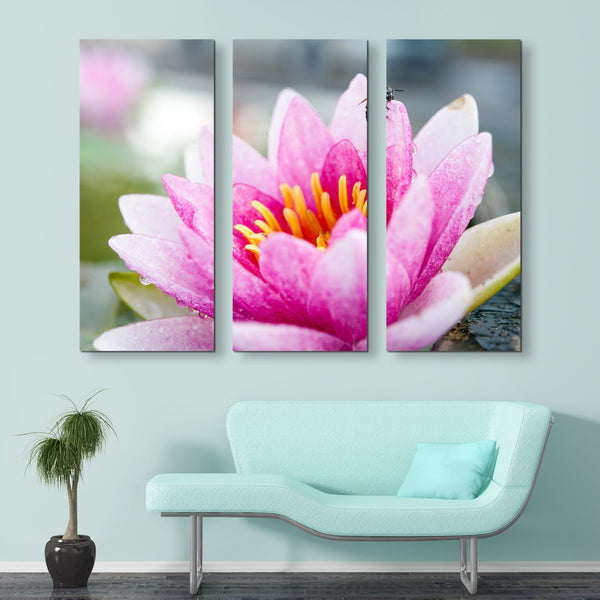 3 piece Lotus And A Bee wall art