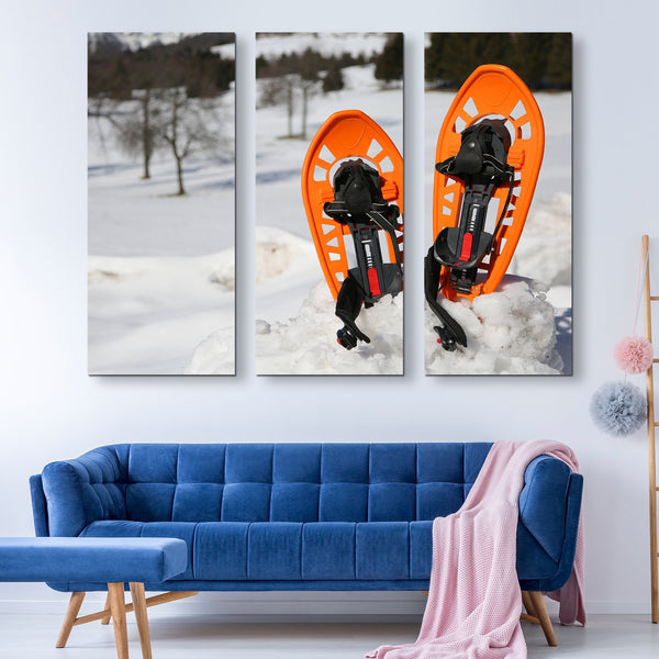 3 piece Snowshoes wall art