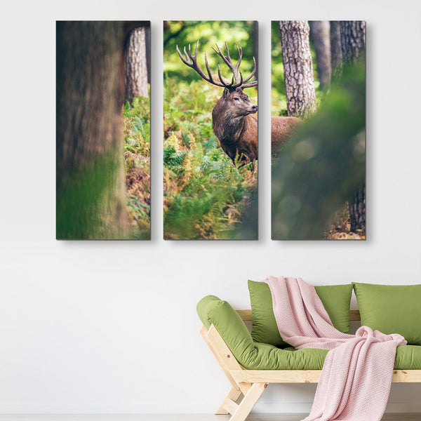 3 piece Red Deer in Autumn Forest wall art