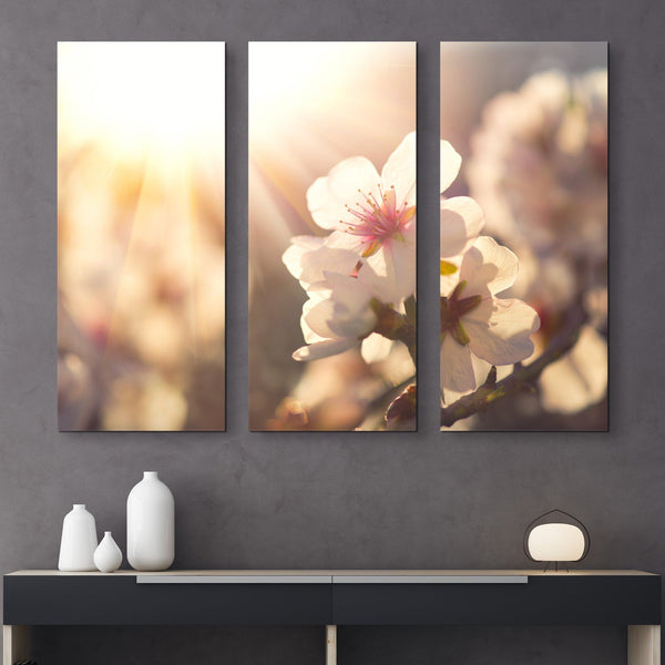 3 piece Spring Blossom wall art