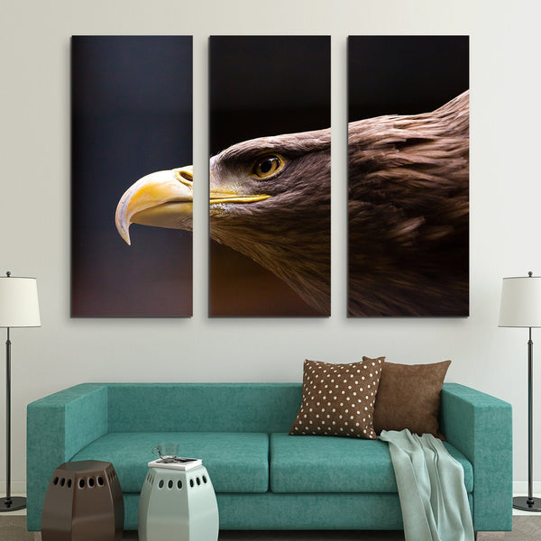 3 piece Eagle Close Up wall art