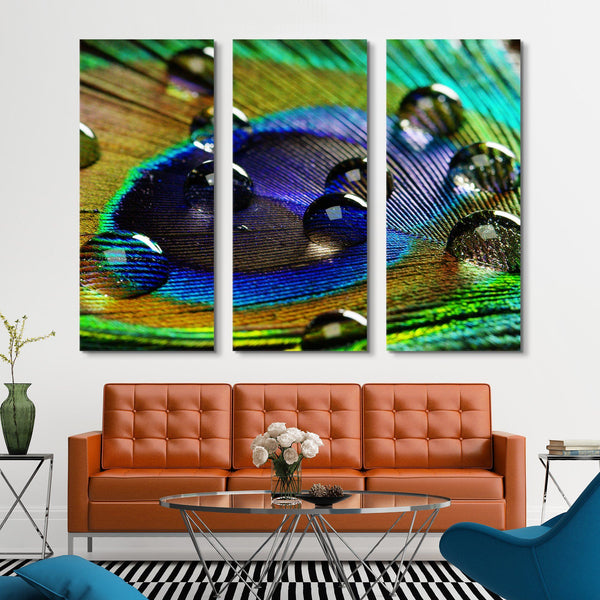 3 piece Peacock Feather With Drops wall art