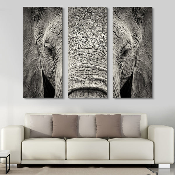 3 piece African Elephant wall art
