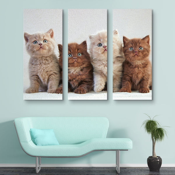 3 piece Four Kittens wall art