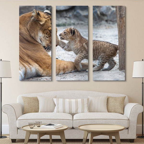3 piece Lion and Cub wall art