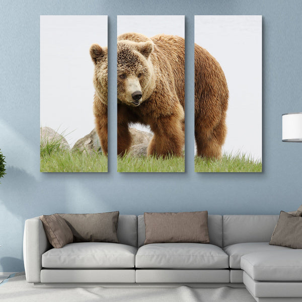 3 piece Brown Bear wall art
