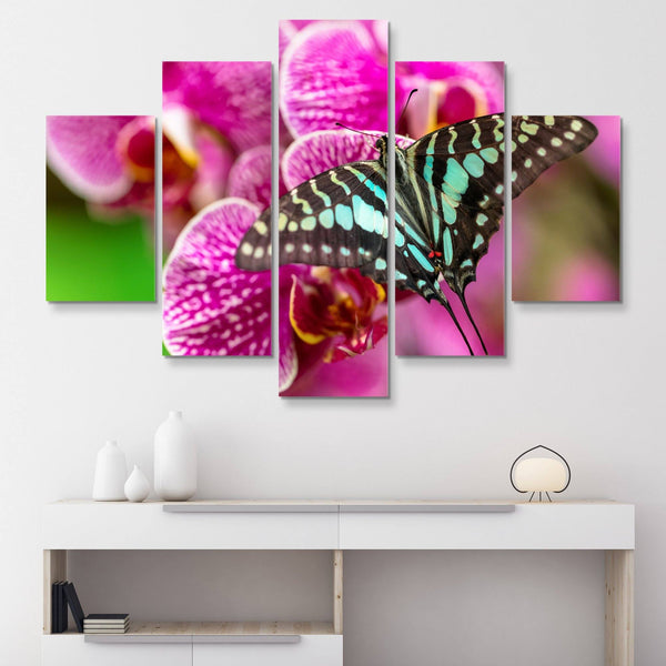 5 piece Beautiful Butterfly wall art
