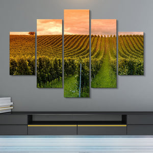5 piece Vineyard Sunset wall art