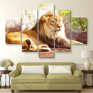 5 piece African Lion wall art
