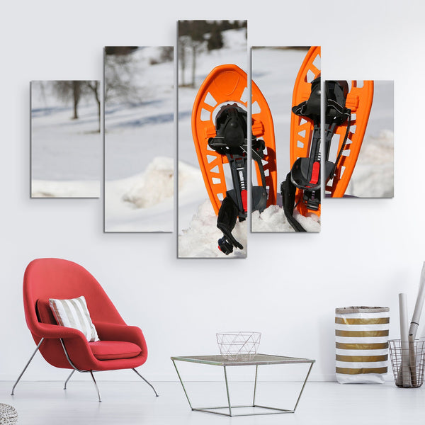 5 piece Snowshoes wall art