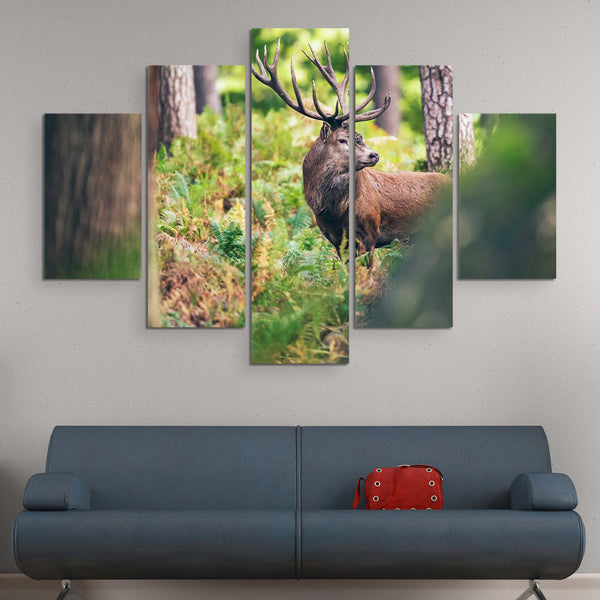 5 piece Red Deer in Autumn Forest wall art