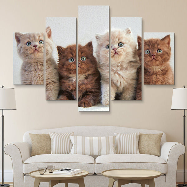 5 piece Four Kittens wall art
