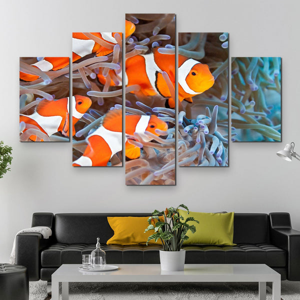 5 piece Clownfish wall art