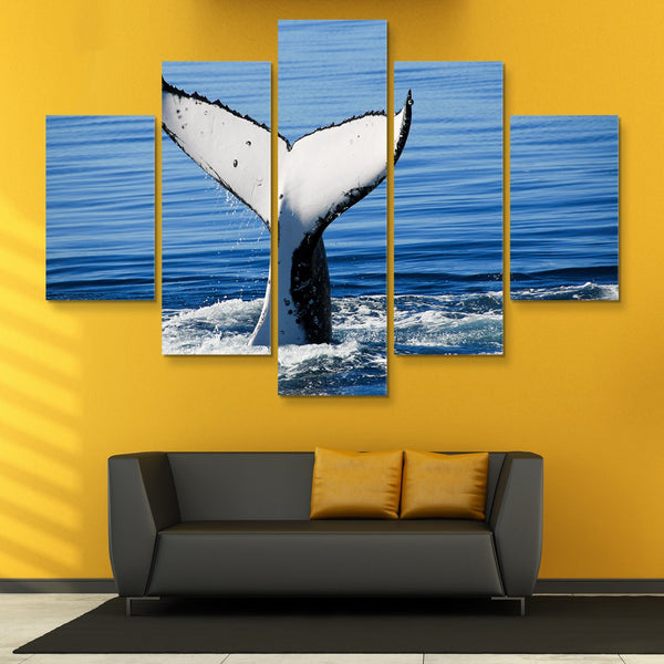 5 piece Humpback Whale wall art