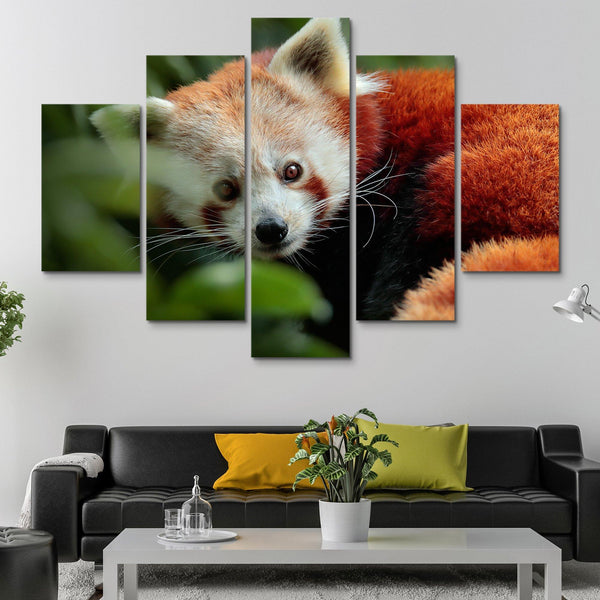 5 piece Panda from Nature wall art