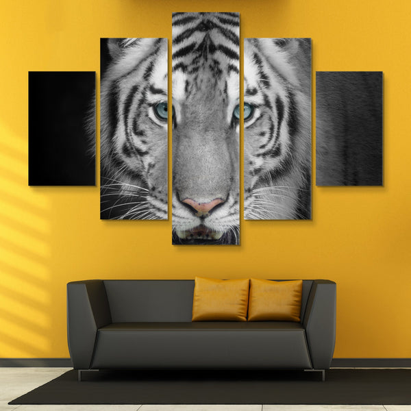 5 piece White Tiger wall art