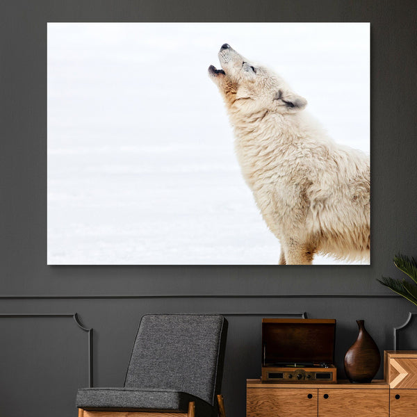 Arctic Wolf Howling wall art