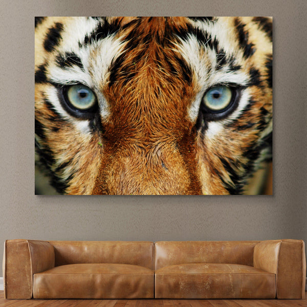 Tiger Eyes wall art
