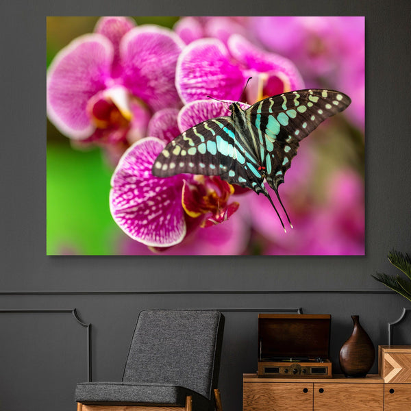 Beautiful Butterfly wall art