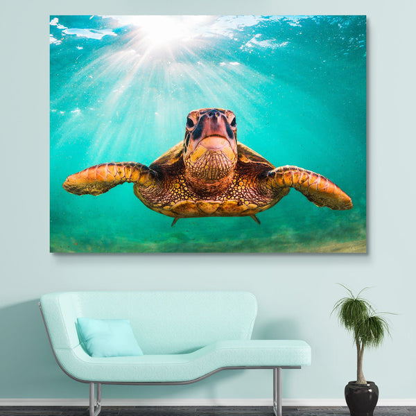 Sea Turtle wall art