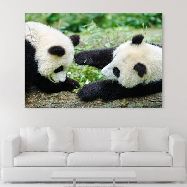 Playing Pandas wall art