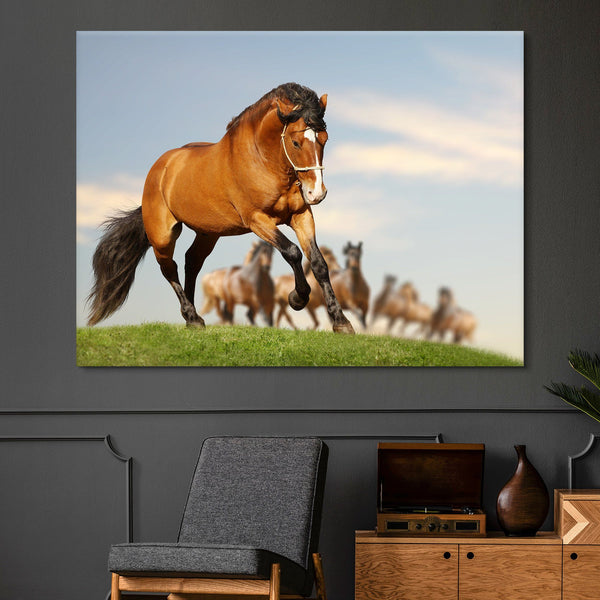Stallion with the Herd wall art