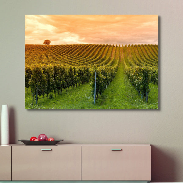Vineyard Sunset wall art