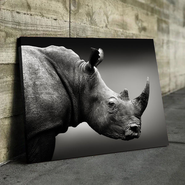 Rhinoceros art