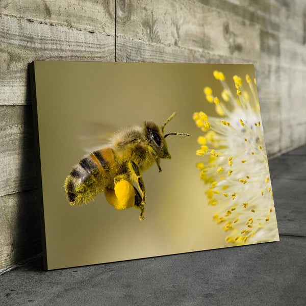 Flower Bee living room wall art