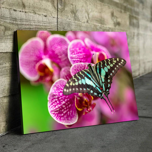 flower and butterfly wall art
