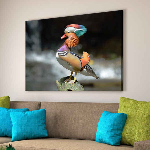 Mandarin Duck living room wall art