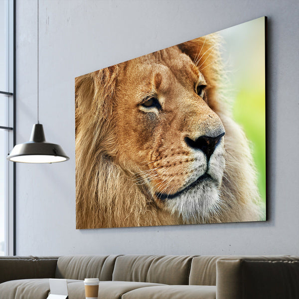 king of the jungle art