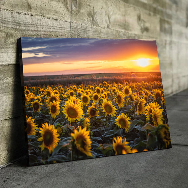 Sunflower field Canvas Print living room wall art