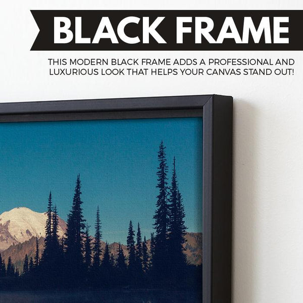 Mount Rainier National Park wall art black floating frame