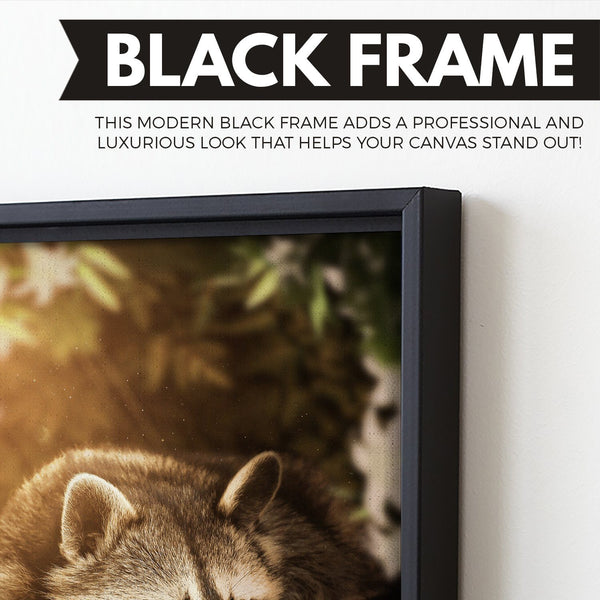 Raccoon art floating frame