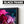 Load image into Gallery viewer, Abstract Tulips Under Water Digital Canvas Print wall art floating fraem
