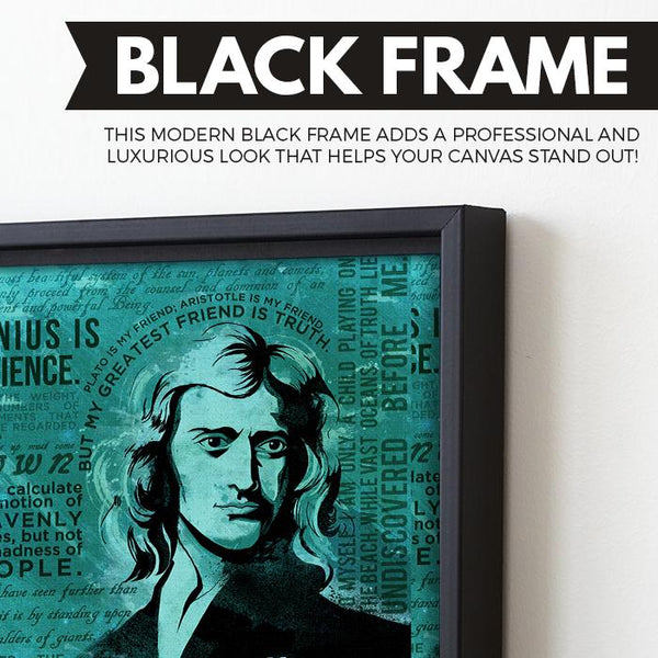 Isaac Newton wall art black frame