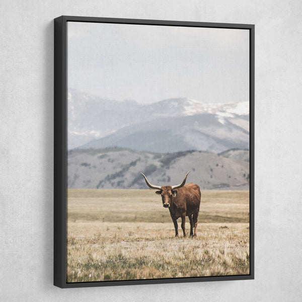Jamie Lollback - Pastured Longhorn wall art black frame