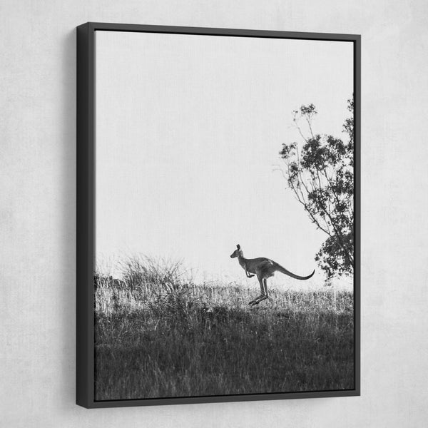 Jamie Lollback - Wild Kangaroo wall art black frame