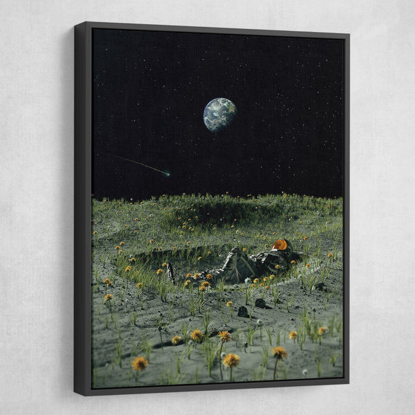 earth canvas wall art black frame
