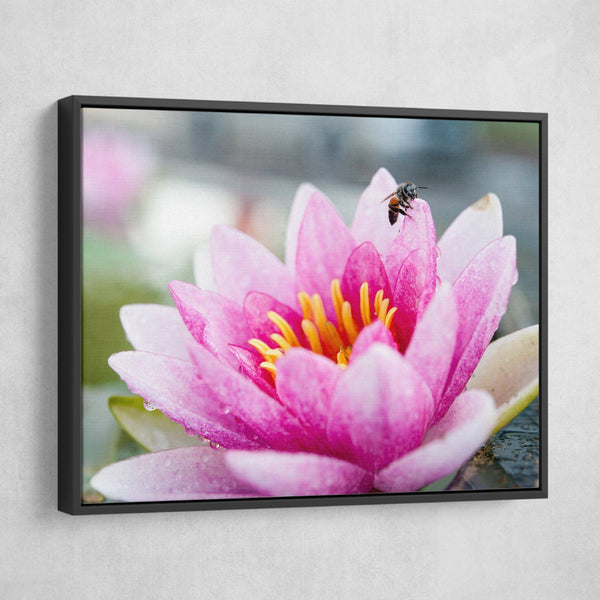 Lotus And A Bee wall art black frame