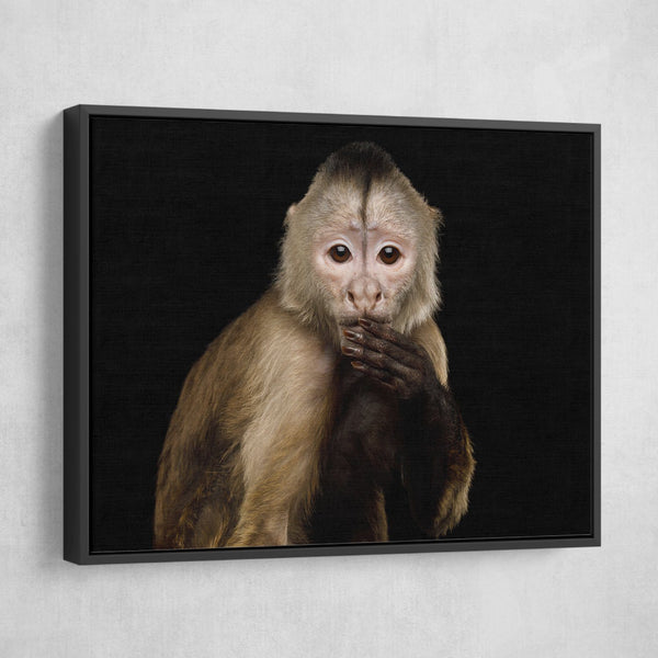Funny Capuchin Monkey wall art black frame