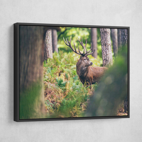 Red Deer canvas art black frame